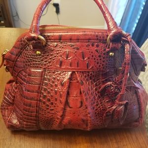 Brahmin Louise Rose